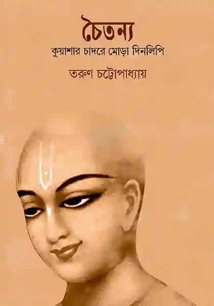 চৈতন্য: কুয়াশার চাদরে মোড়া দিনলিপি