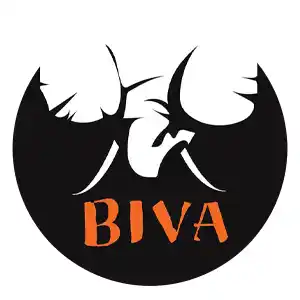 Biva Publication